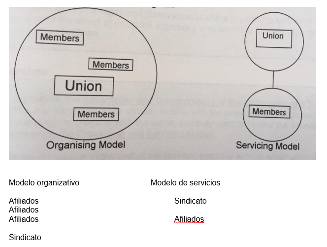modelo organizativo- tabla 1