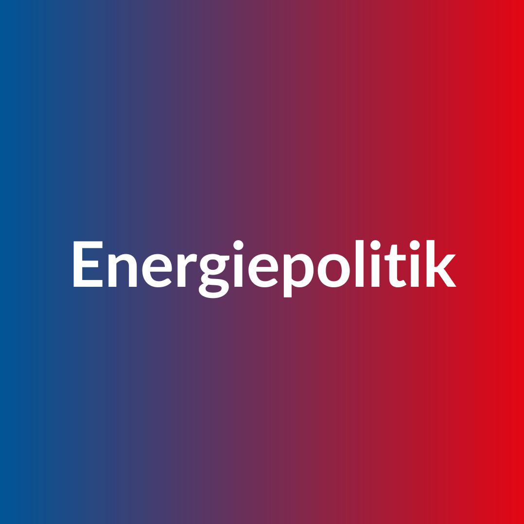 Button zu Glossarbeitrag zum Thema Energiepolitik