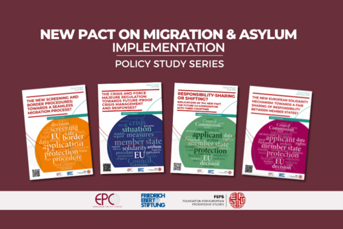 Vorschaubild der Artikelreihe "New Pact on Migration and Asylum Implementation"