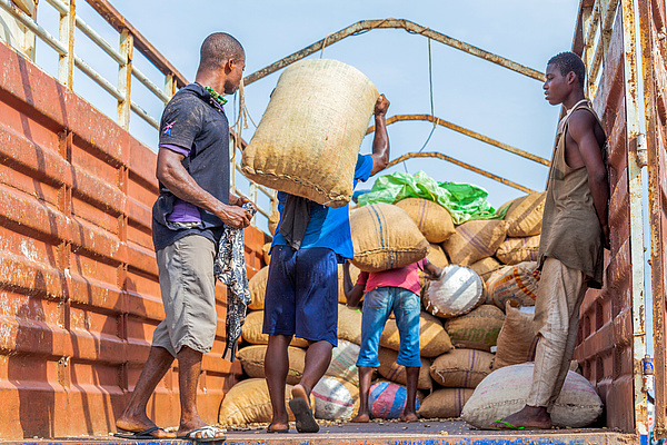 Men loading sacks of cashew nuts onto a truck.