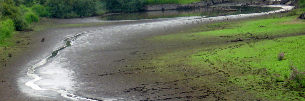 Dried-up river