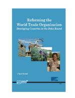 Reforming the World Trade Organization