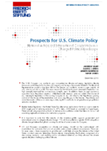 Prospects for U.S. climate policy