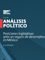 Posiciones legislativas ante un seguro de desempleo en México