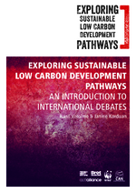 Exploring sustainable low carbon development pathways