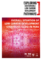 Exploring sustainable low carbon development pathways