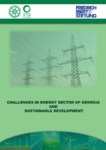 Challenges in energy sector of Georgia and sustainable development