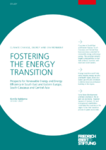 Fostering the energy transition