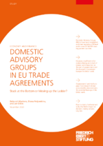 Domestic advisory groups in EU trade agreements