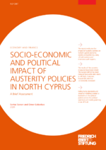 Socio-economic and political impact of austerity policies in North Cyprus