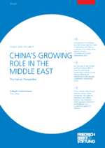 China's growing role in the Middle East