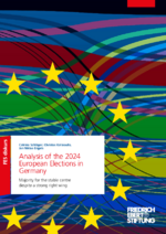 Analysis of the 2024 European Elections in Germany