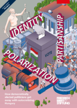 Identity, partisanship, polarization