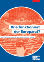 Wie funktioniert der Europarat?