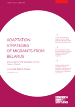 Adaption strategies of migrants from Belarus and Ukraine in the European Unionʿs labour market