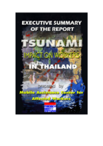 Executive summary of the draft report "Tsunami impact on workers in Thailand"
